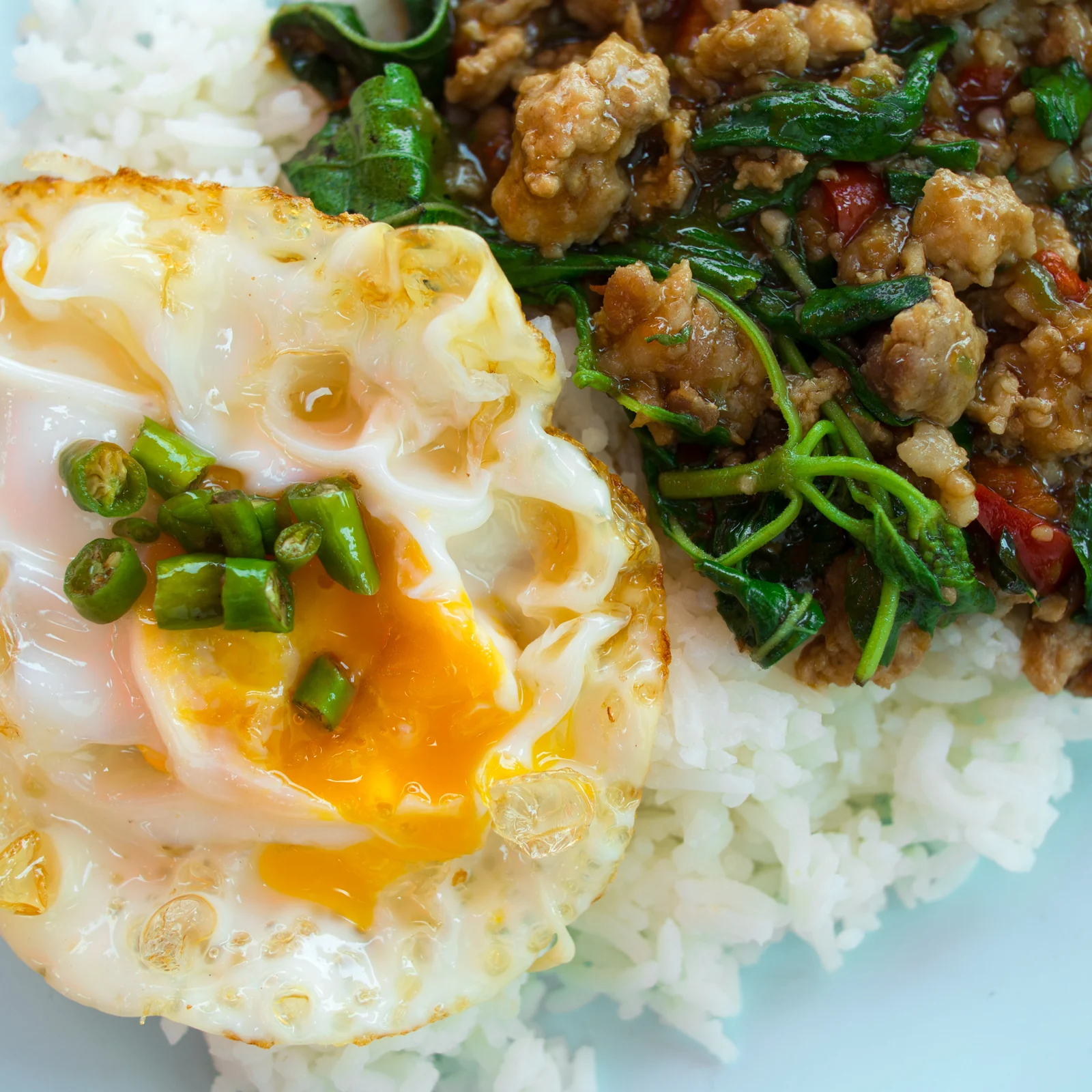Holy basil pork with rice and a fried egg, from the THAM food journal